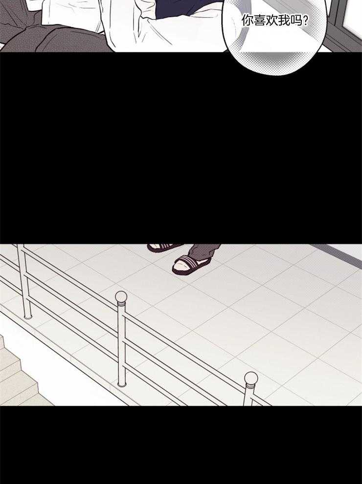 蠢狼抱枕饲养录第70话图