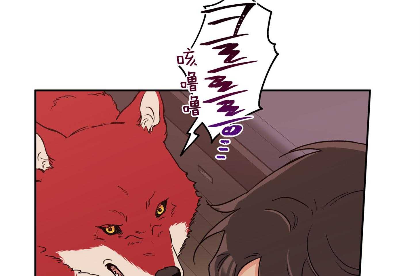 蠢狼抱枕饲养录 第81话 第13页