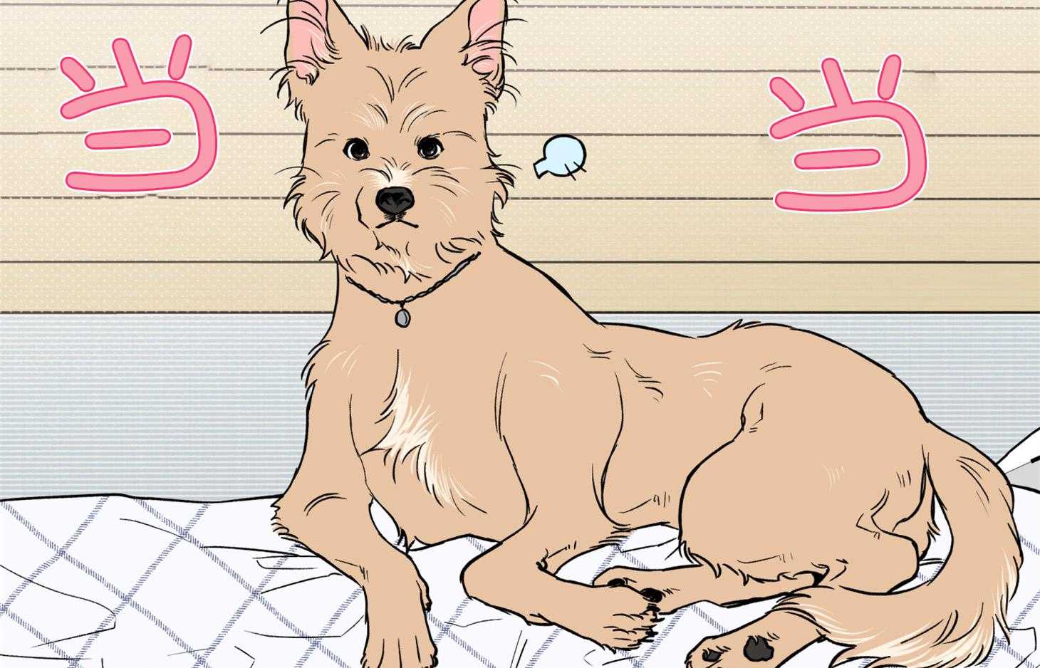 蠢狼抱枕饲养录第93话图