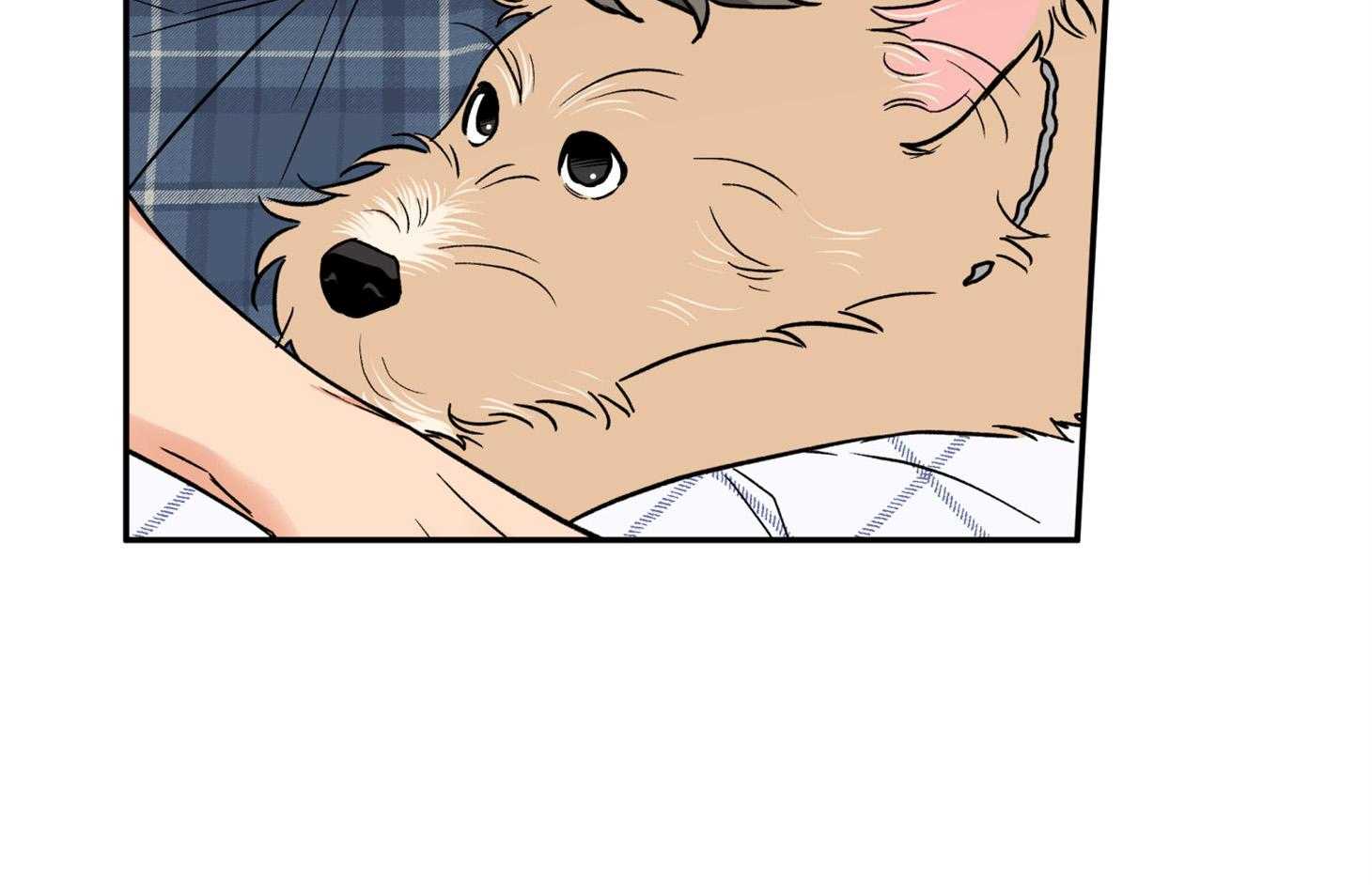 蠢狼抱枕饲养录 第94话 第17页