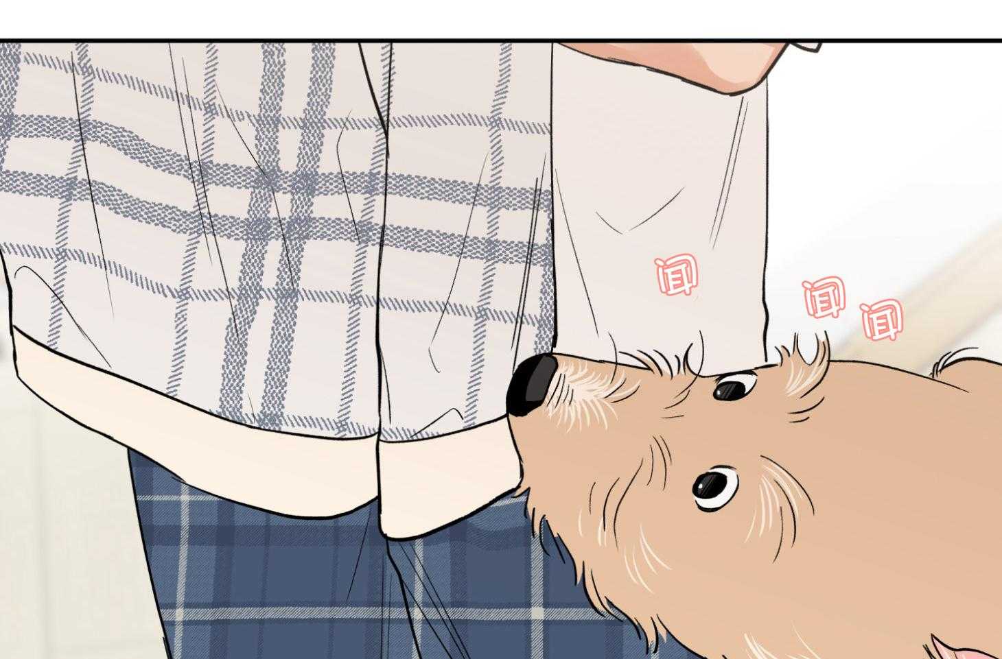 蠢狼抱枕饲养录 第94话 第40页