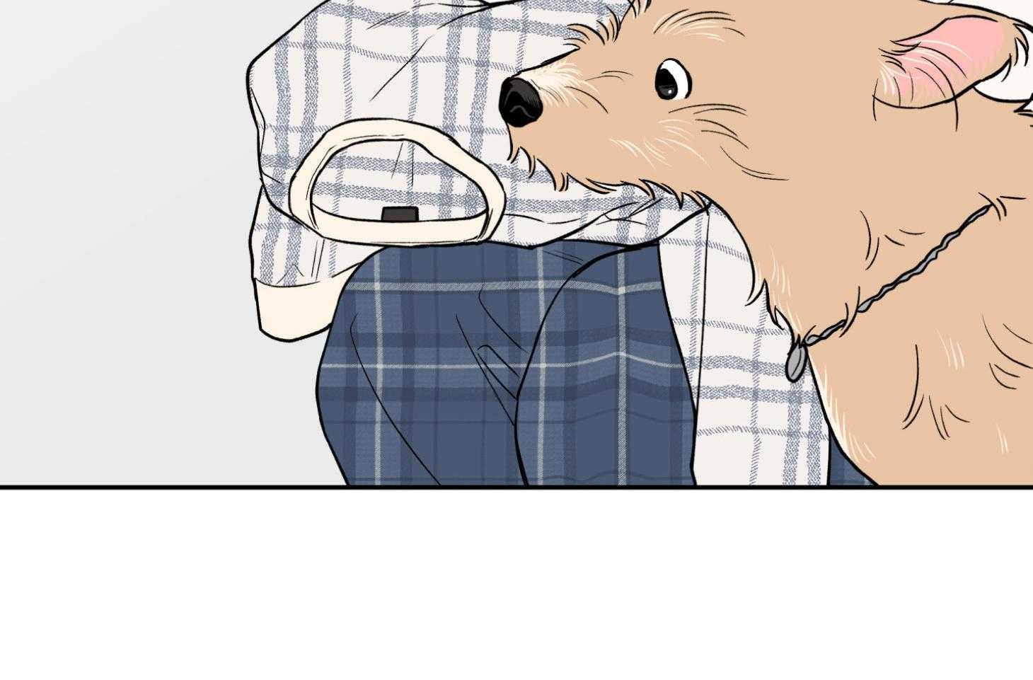 蠢狼抱枕饲养录 第94话 第43页