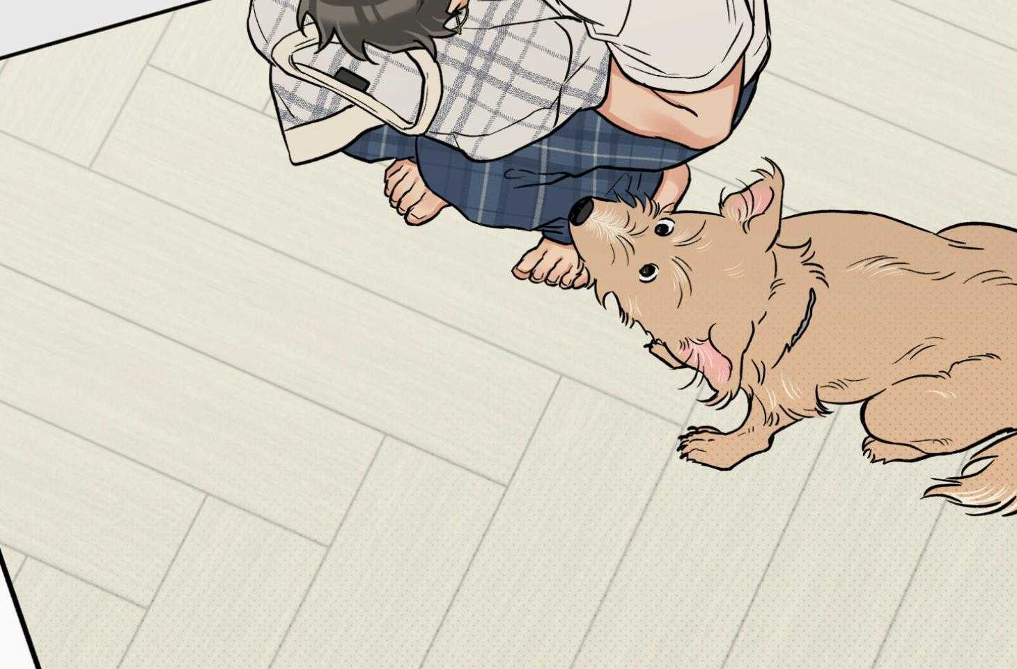 蠢狼抱枕饲养录第94话图