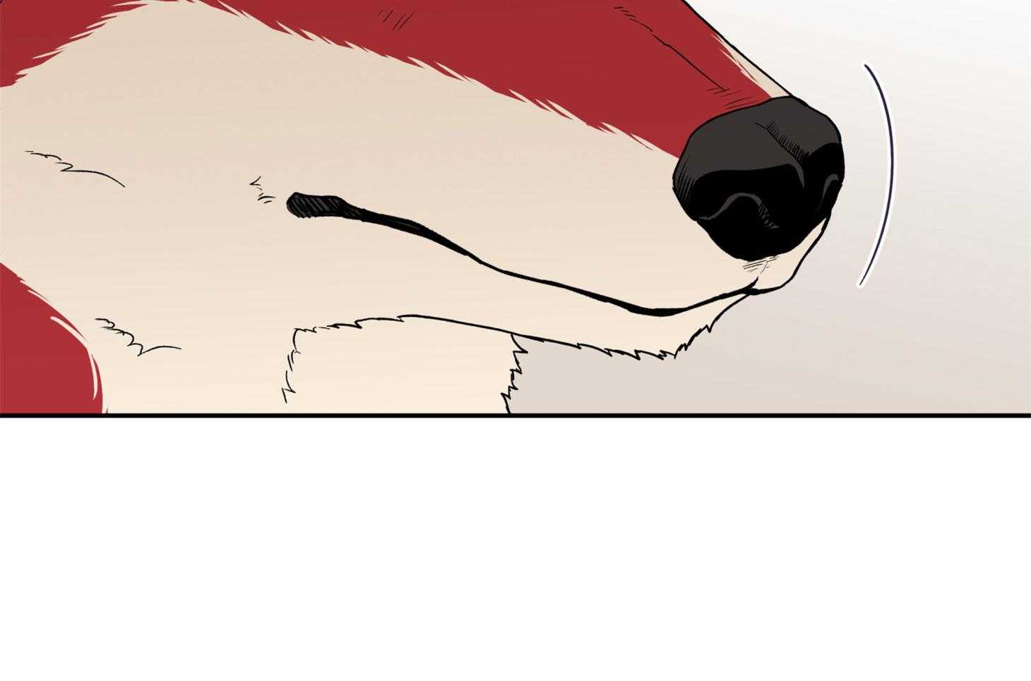 蠢狼抱枕饲养录 第97话 第19页