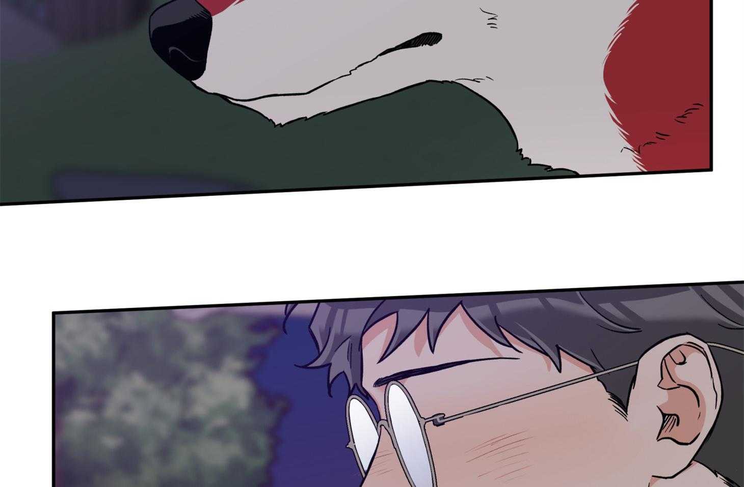 蠢狼抱枕饲养录第97话图