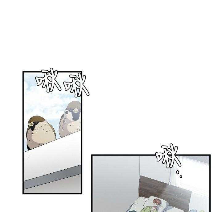 沉迷社长大人第51话图