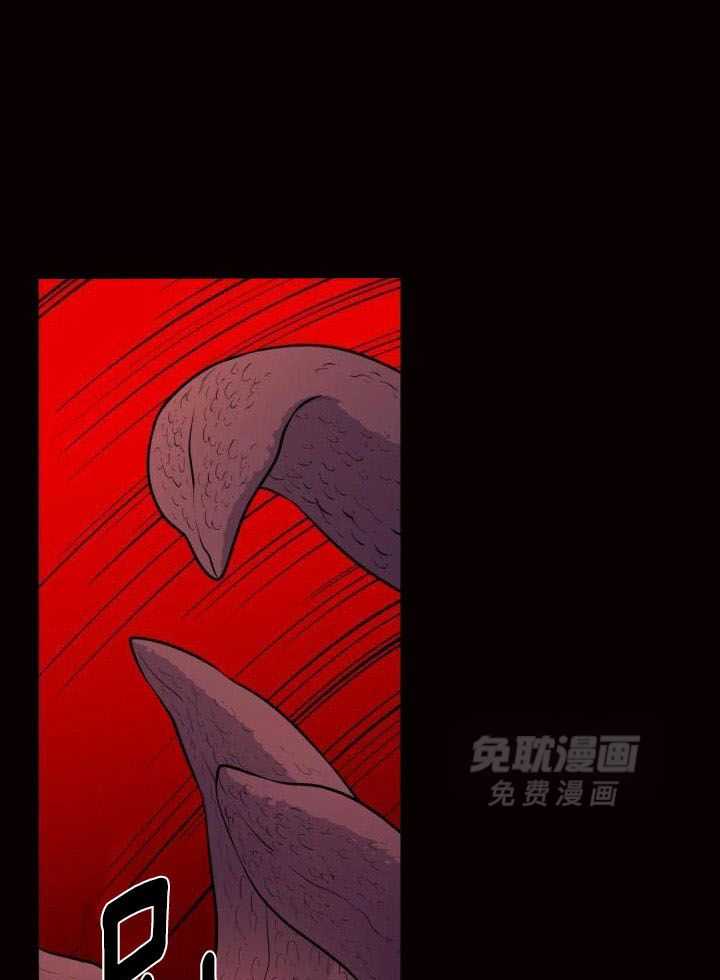 触手的食谱第12话图