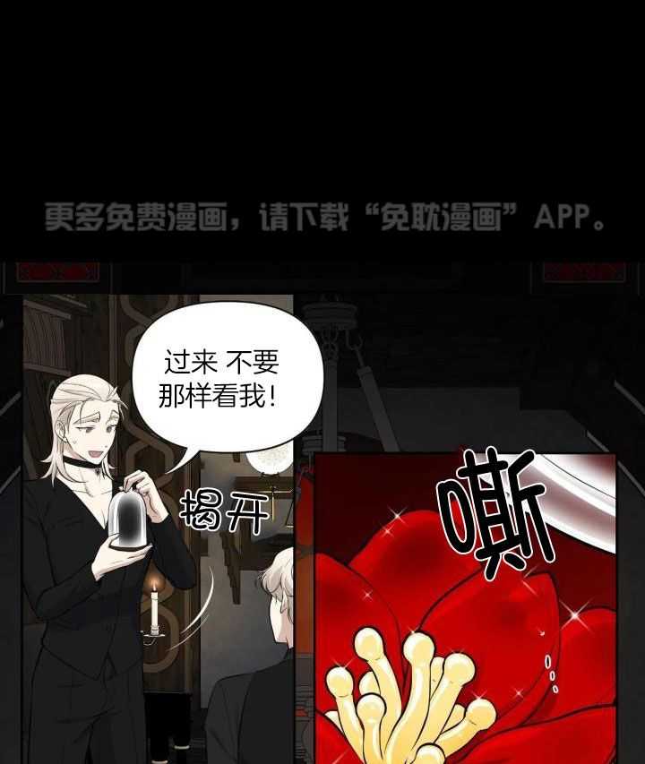 触手的食谱第19话图