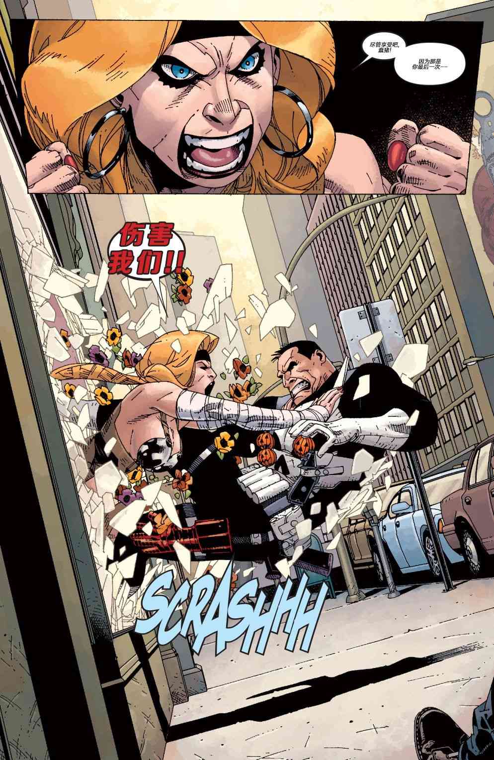 惩罚者v8 年刊 第13页