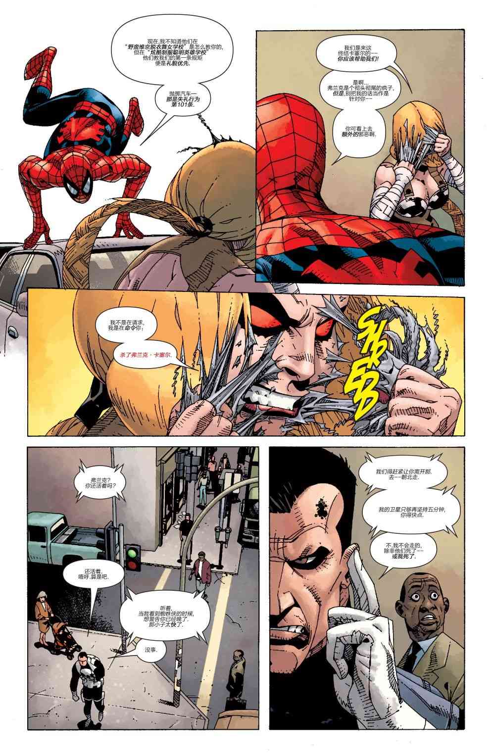 惩罚者v8 年刊 第17页