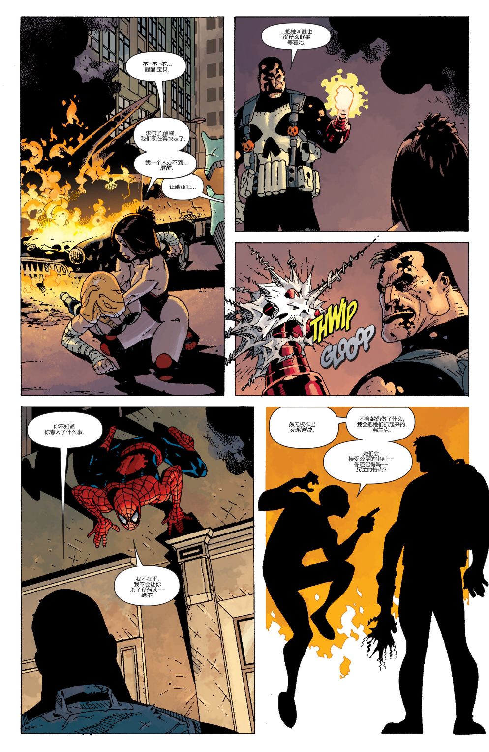 惩罚者v8 年刊 第30页