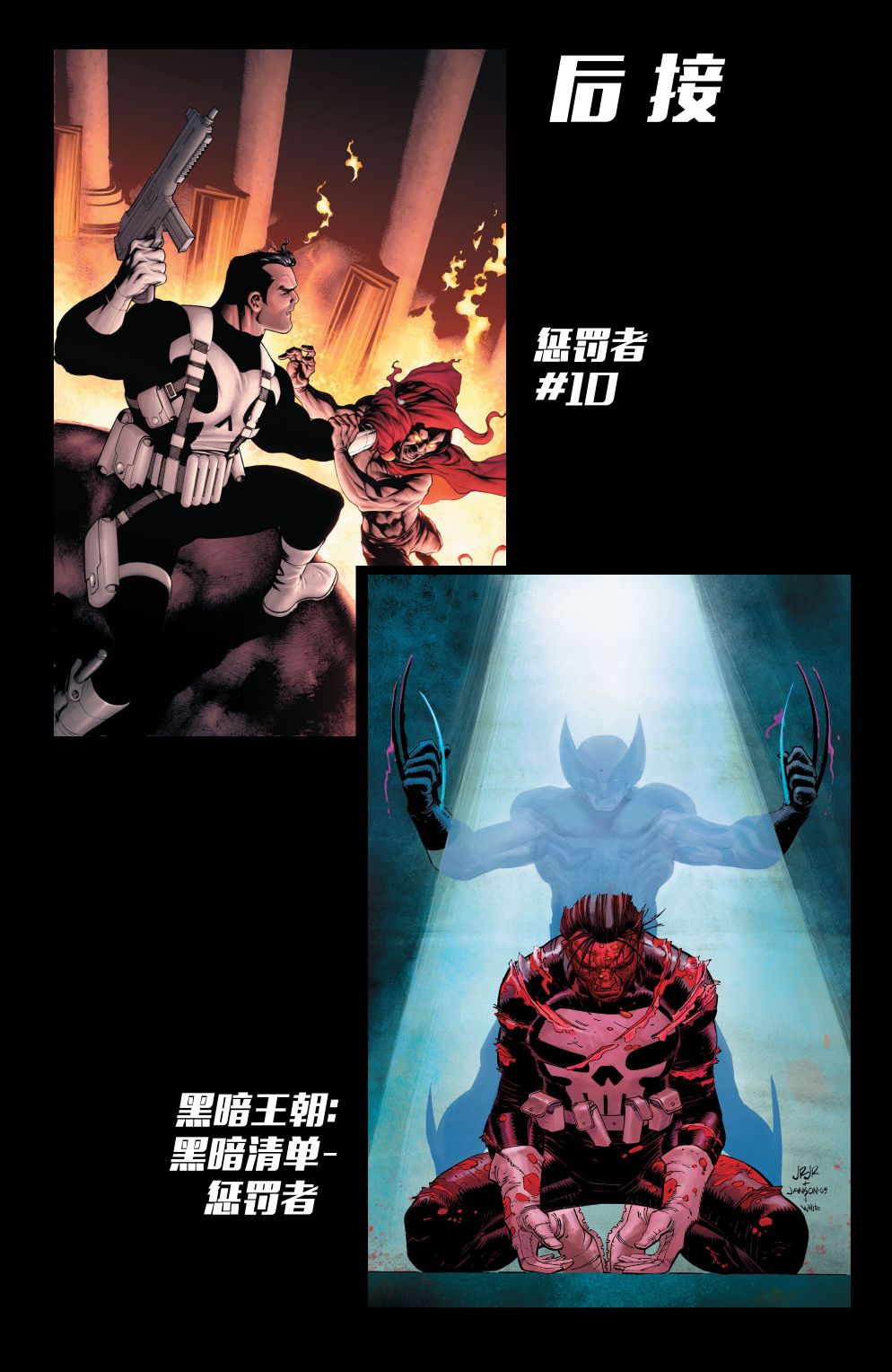 惩罚者v8 年刊 第34页