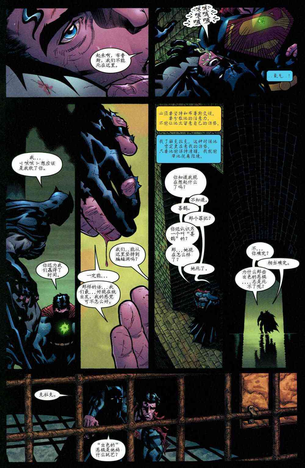 超人与蝙蝠侠v12卷图