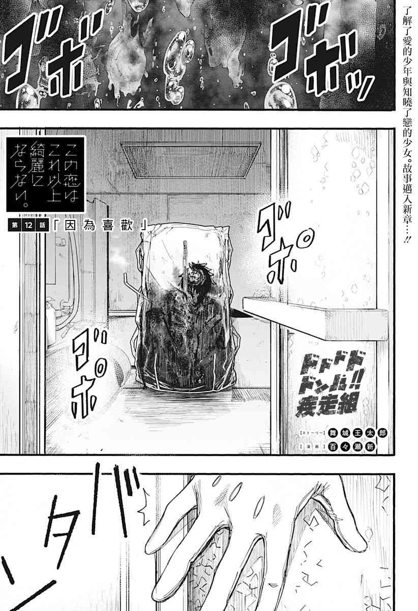 此恋之洁，无以复加12话图