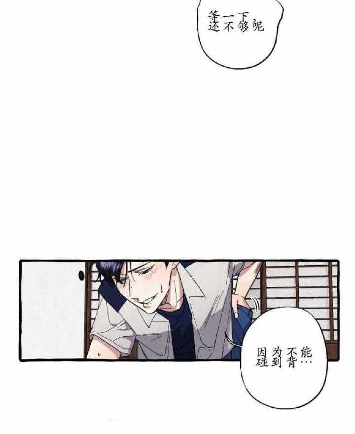 cover up第19话图
