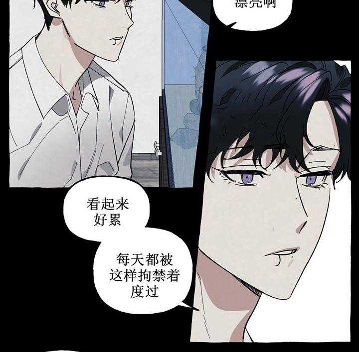 cover up第39话图