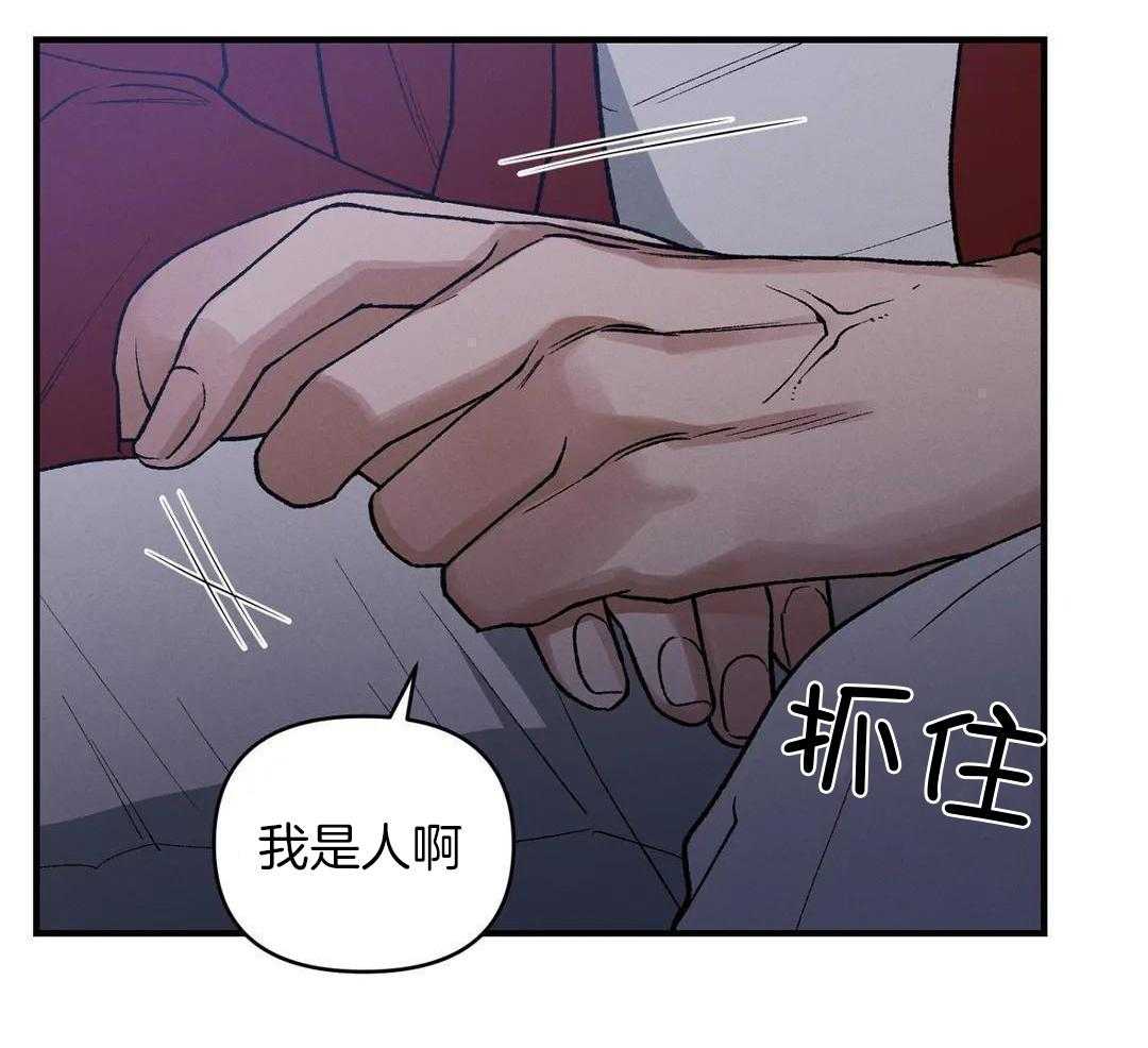 穿回古代做暴君第41话图