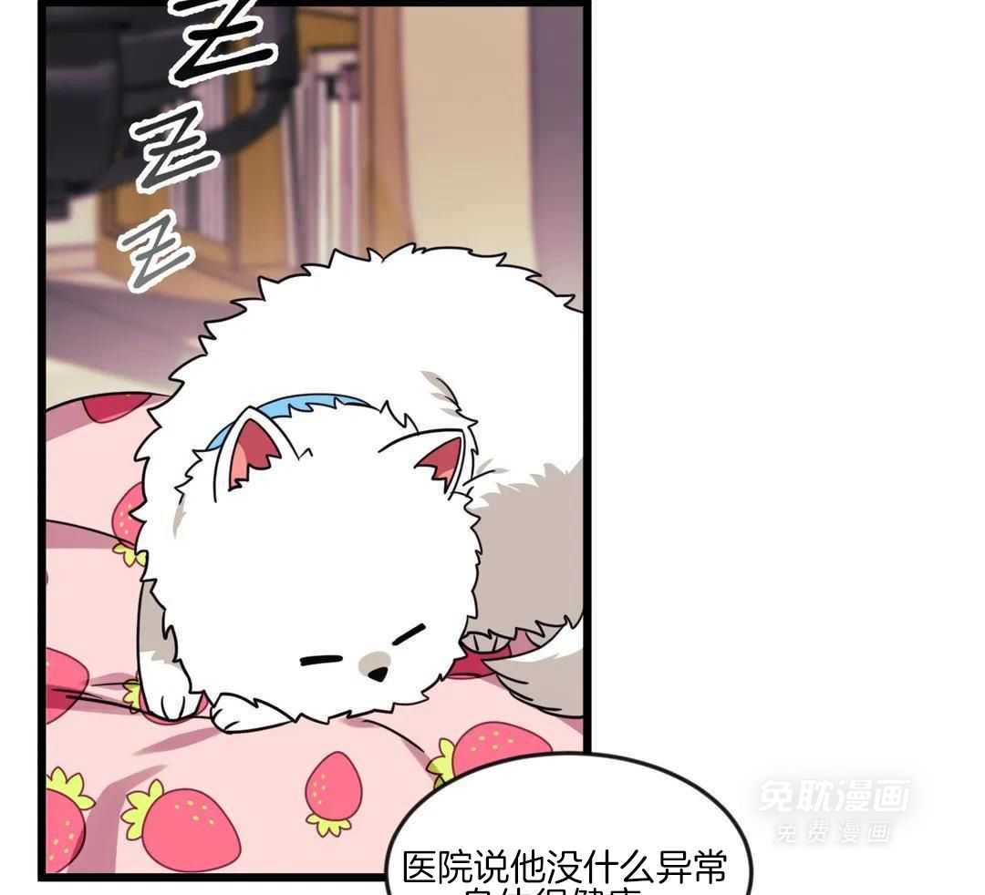 颤抖吧！魔法少年第27话图