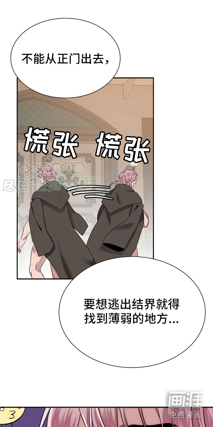 宠物魔蛋第5话图