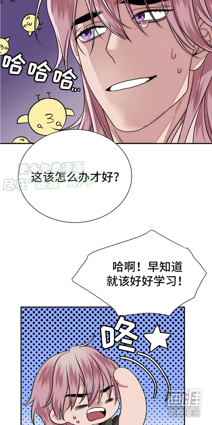 宠物魔蛋第5话图