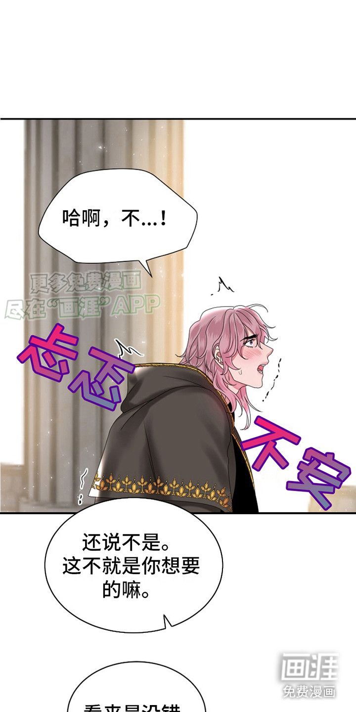 宠物魔蛋第8话图