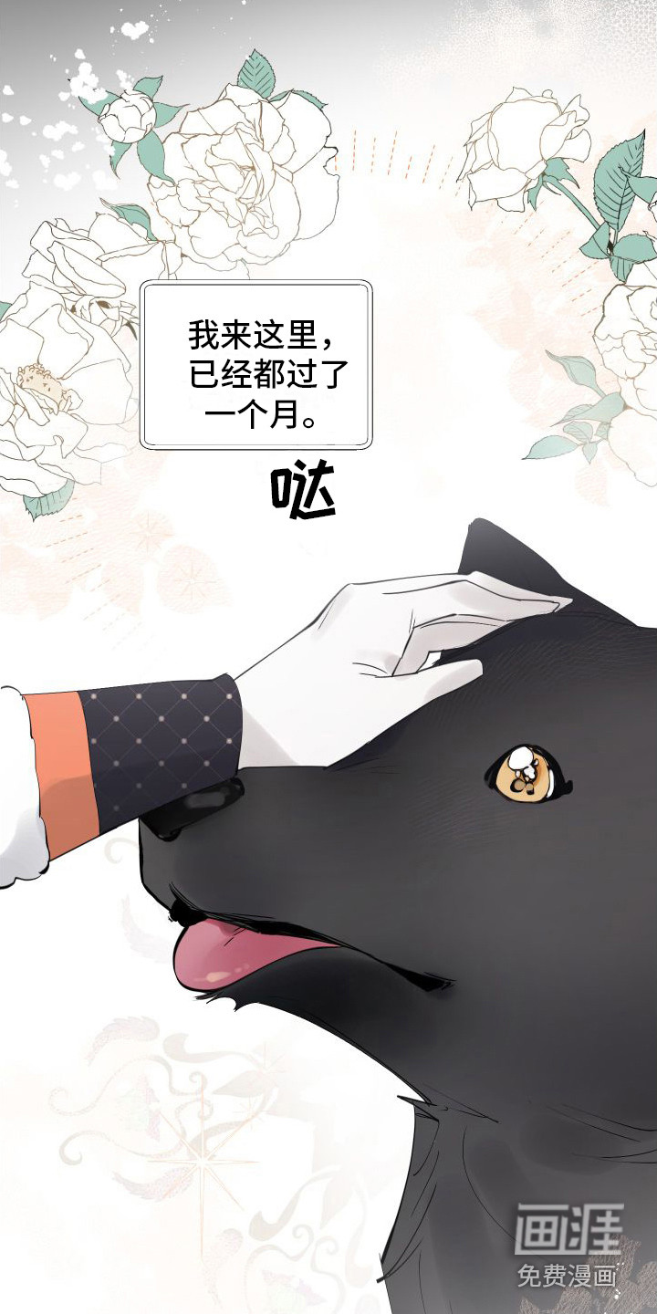 春与冬的边界第12话图