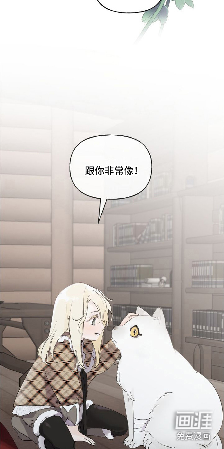 春与冬的边界第14话图