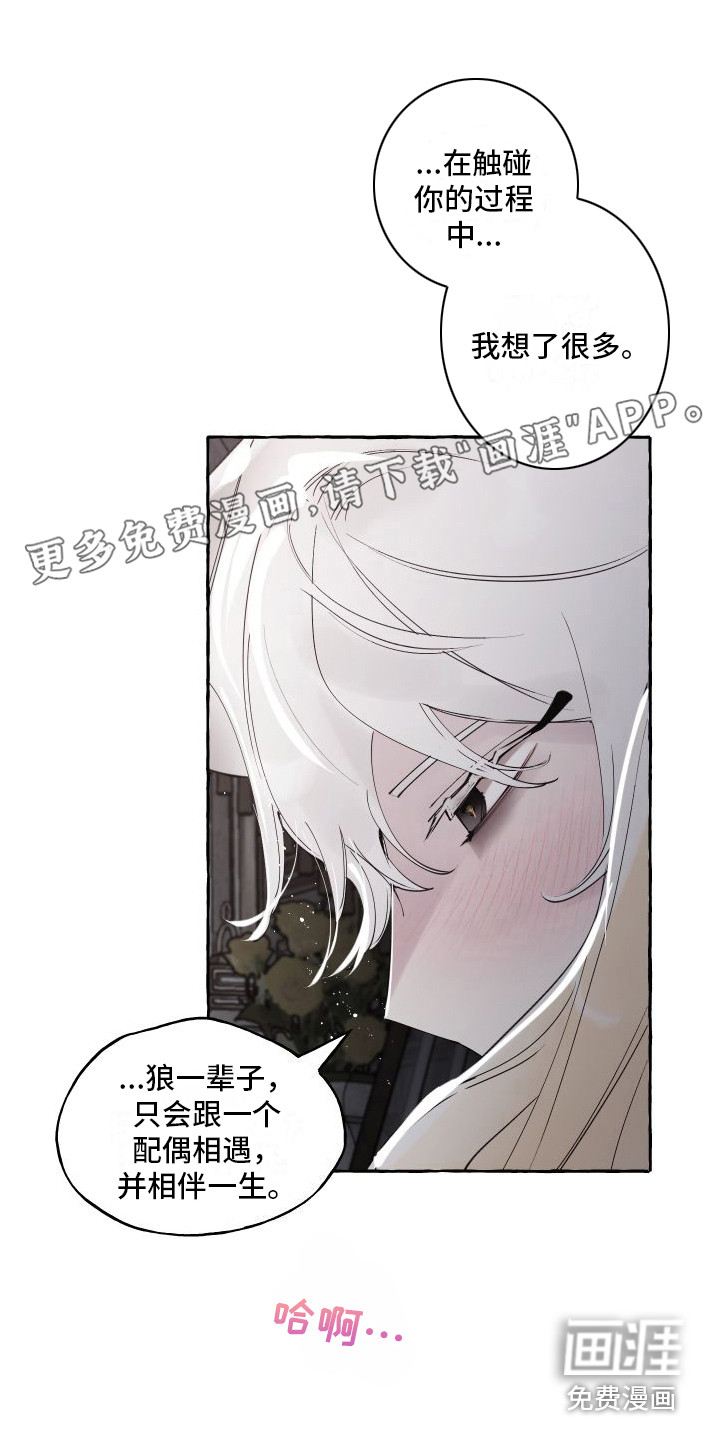 春与冬的边界第20话图