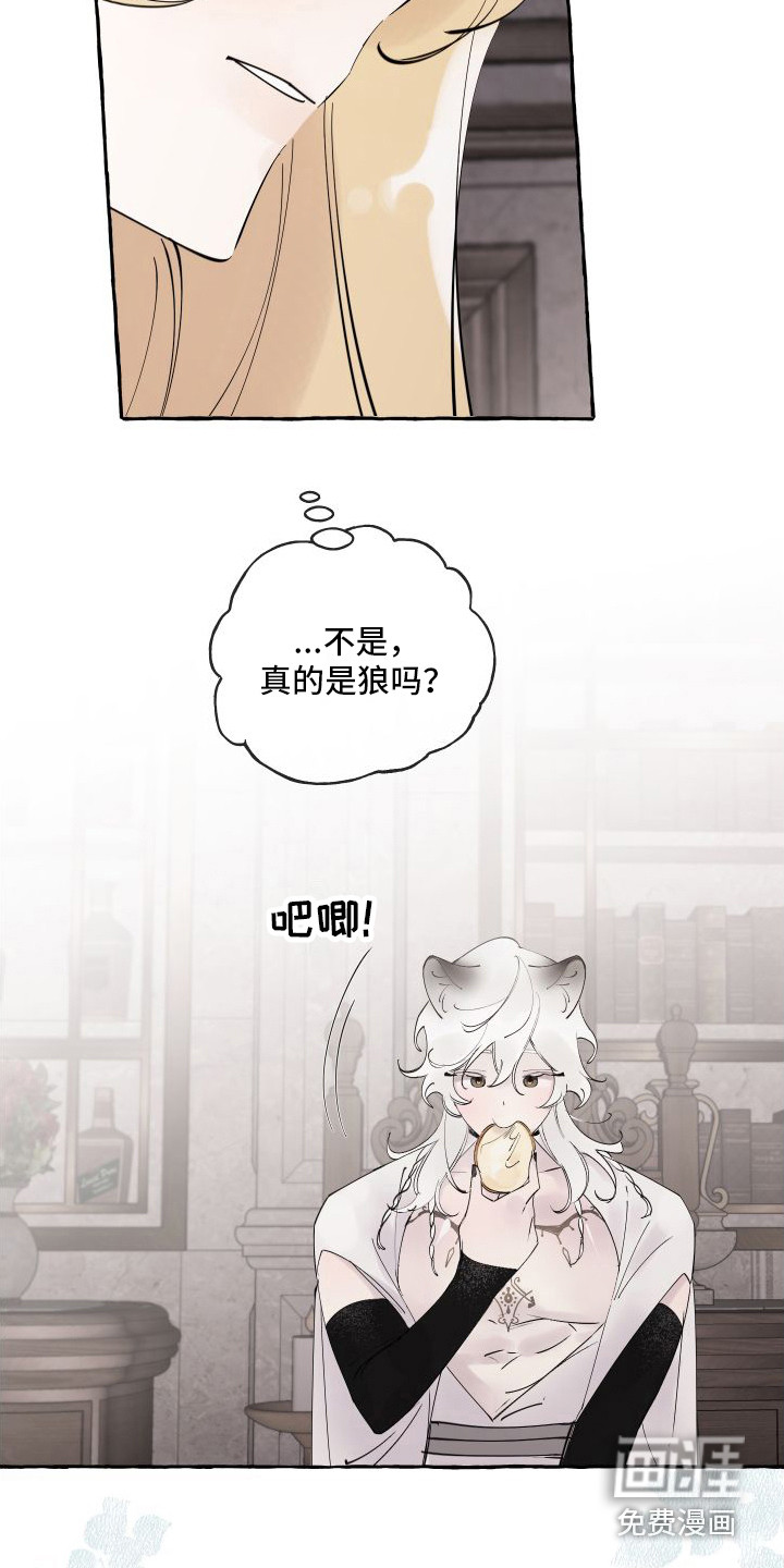 春与冬的边界第5话图