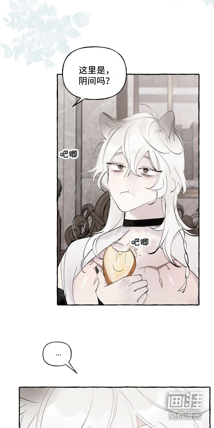 春与冬的边界第5话图