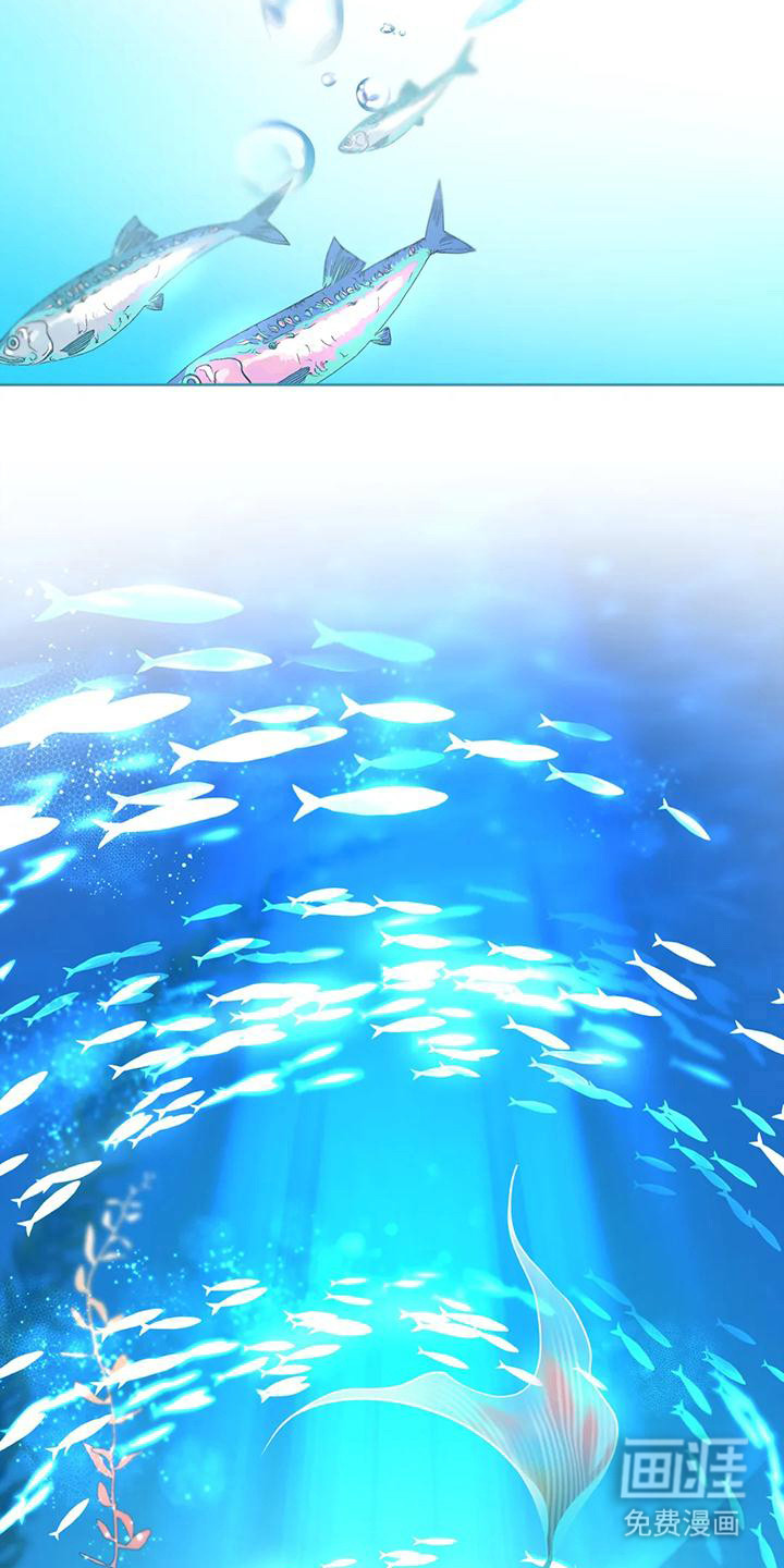 初恋人鱼第11话图