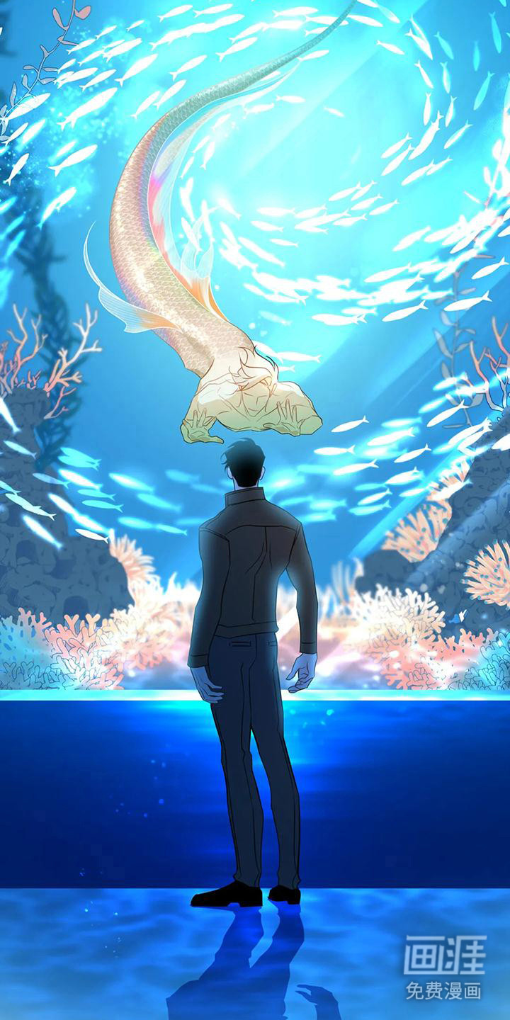 初恋人鱼第11话图