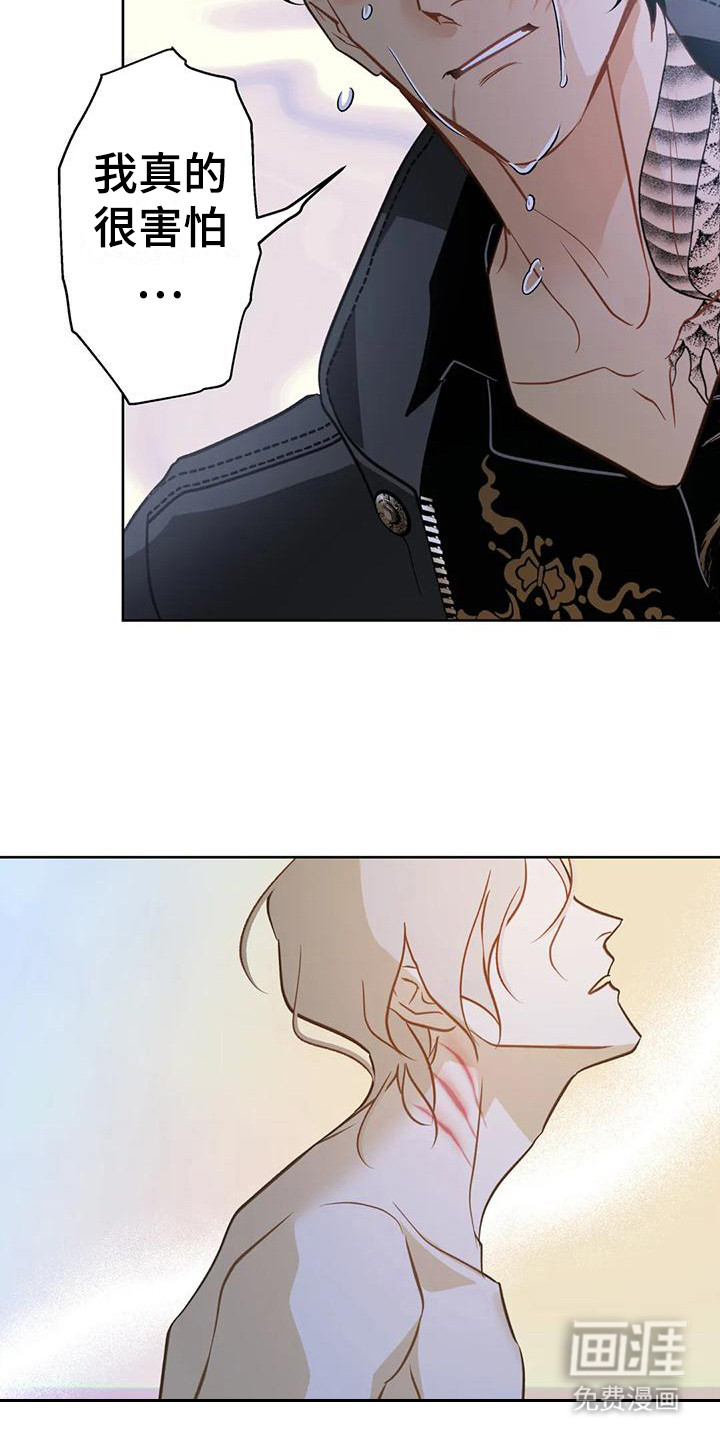 初恋人鱼第20话图