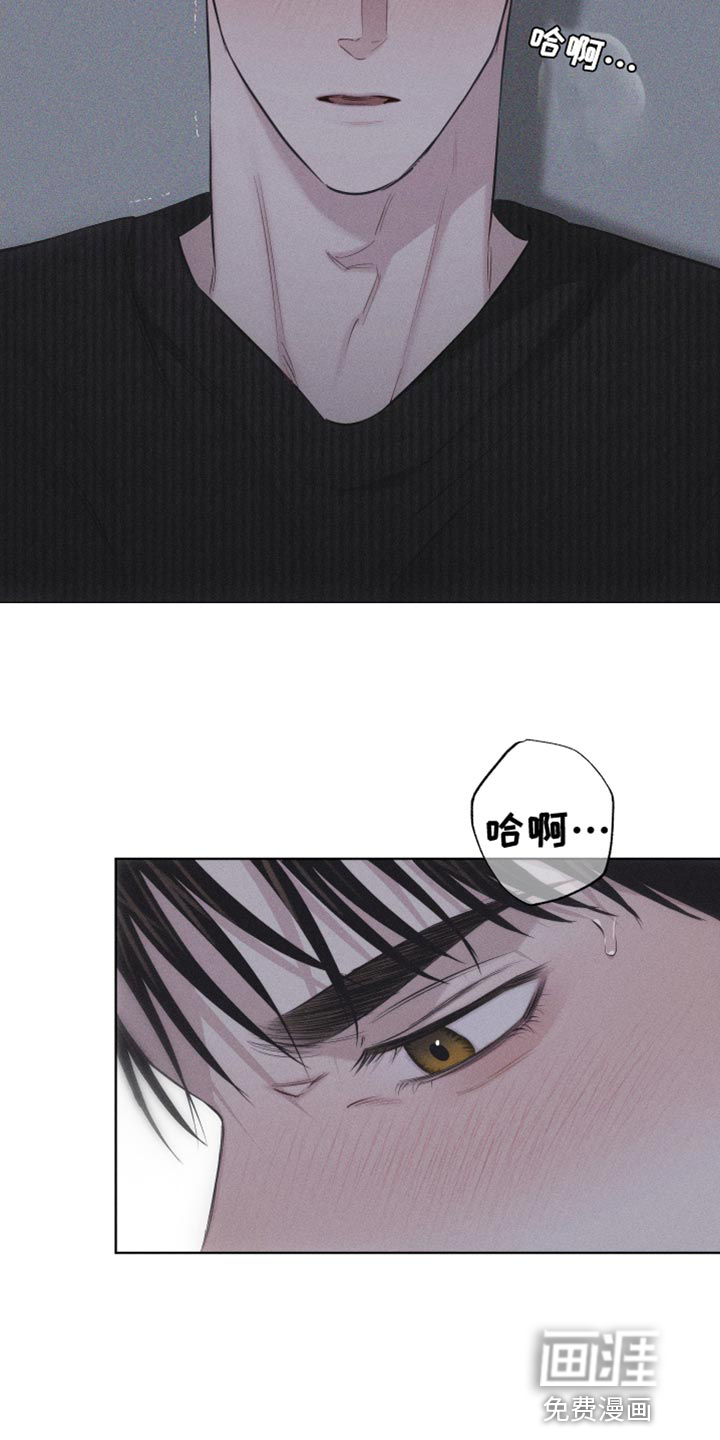 瓷器 第19话 第1页