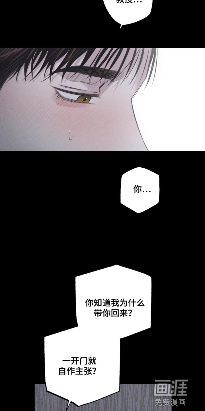 瓷器 第23话 第17页