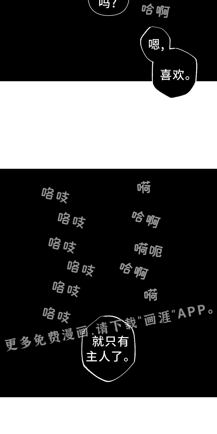 瓷器第37话图