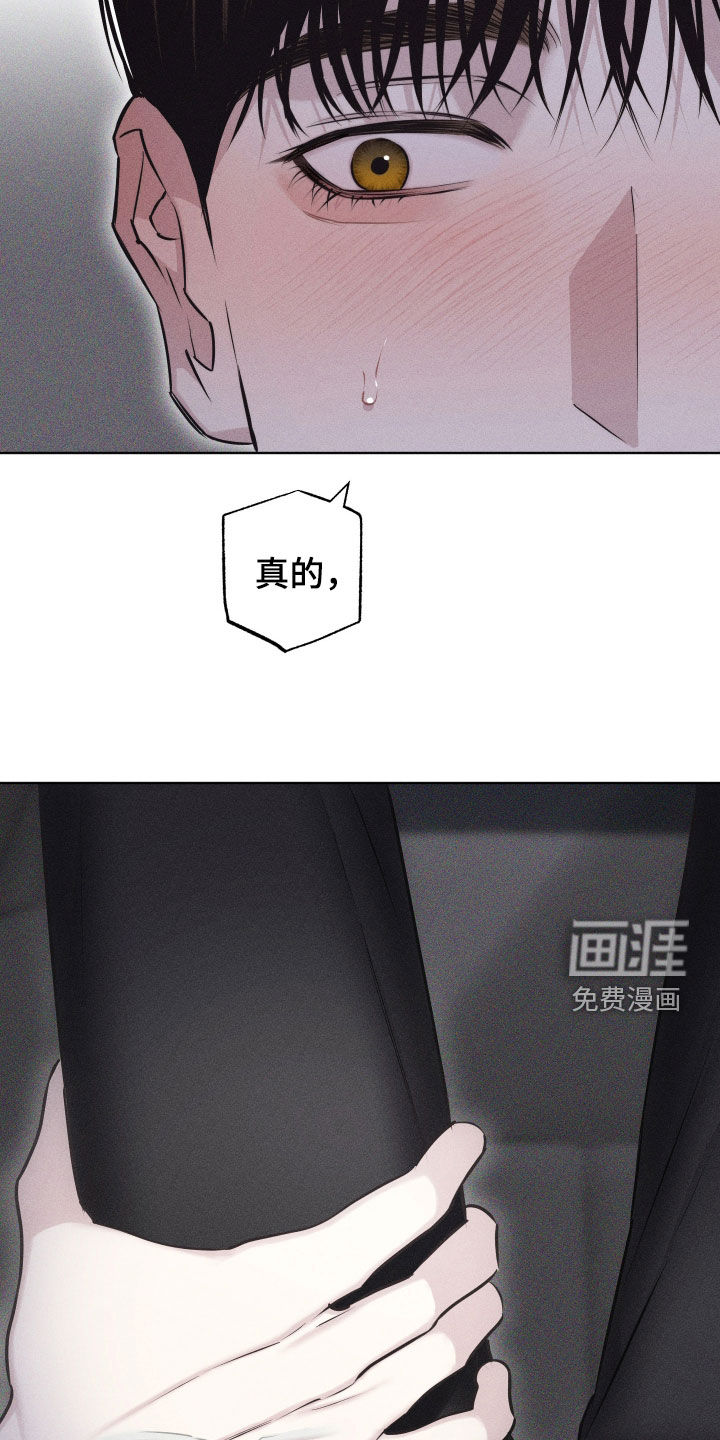 瓷器 第43话 第19页