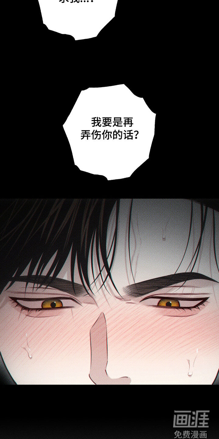 瓷器 第49话 第5页