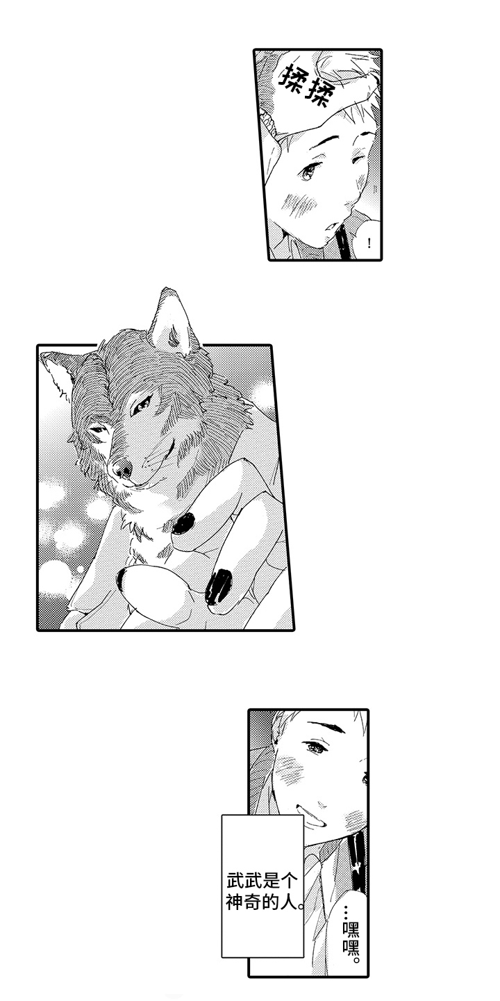 春野与狼独舞第3话图