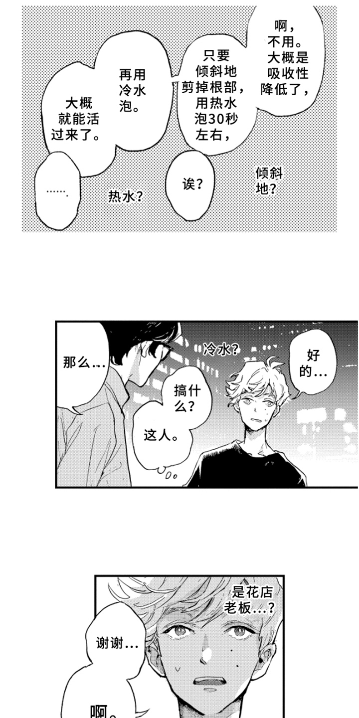 春天的树 第2话 第12页