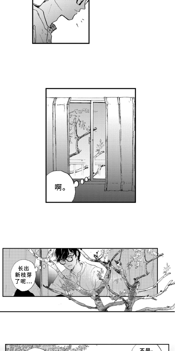 春天的树 第27话 第7页