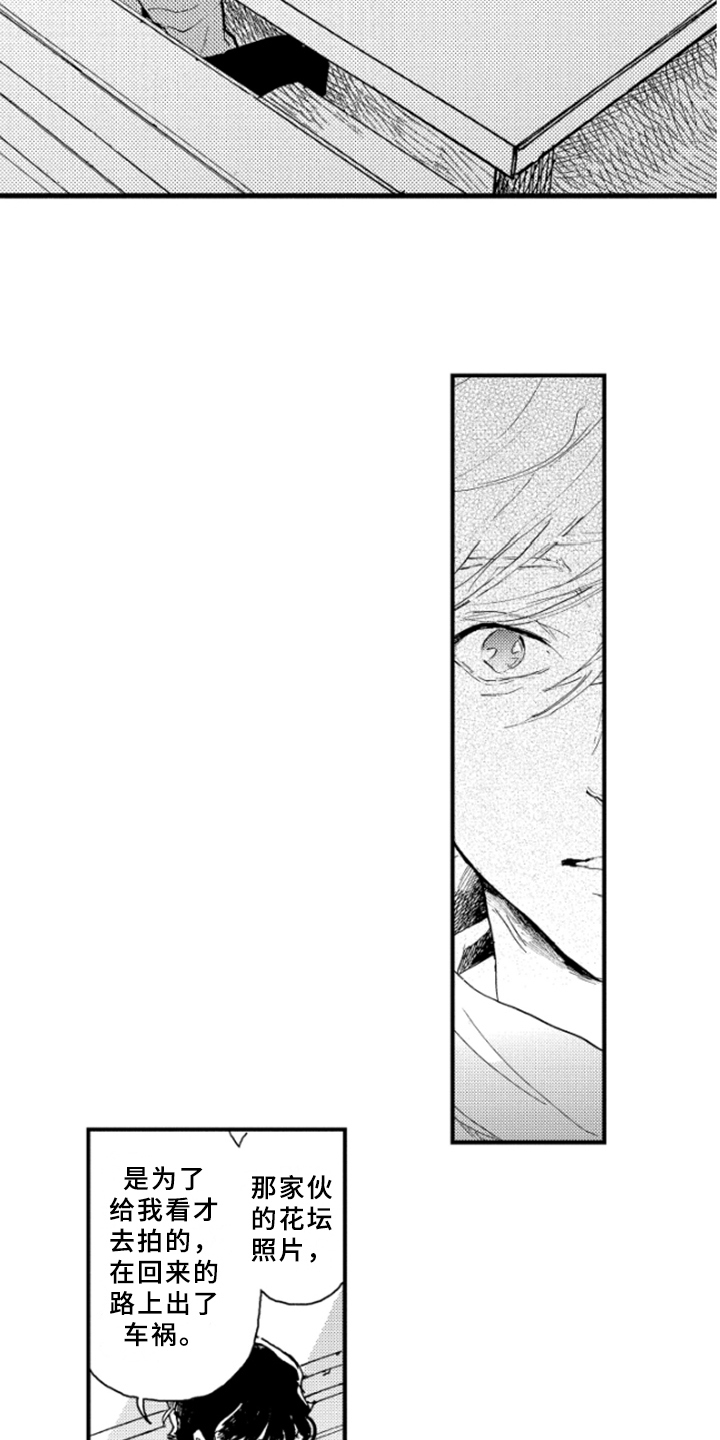 春天的树 第33话 第3页