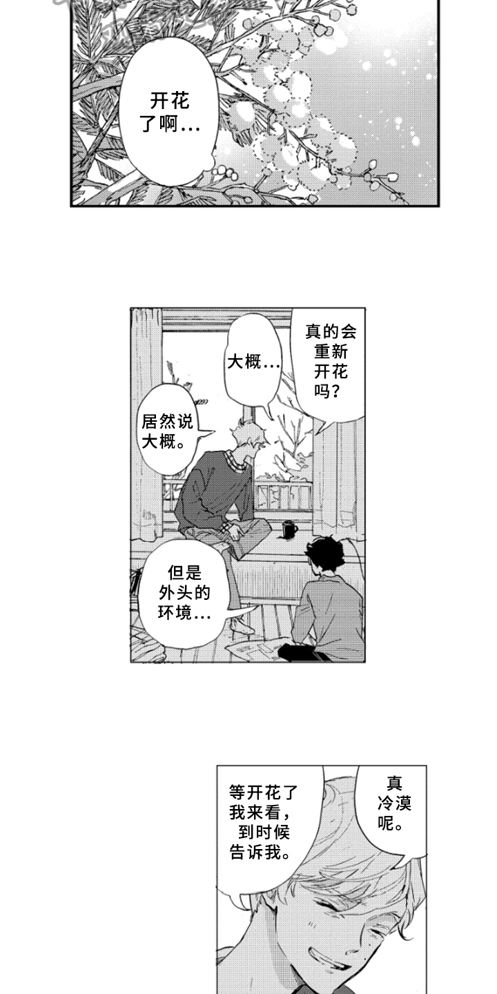 春天的树 第37话 第4页