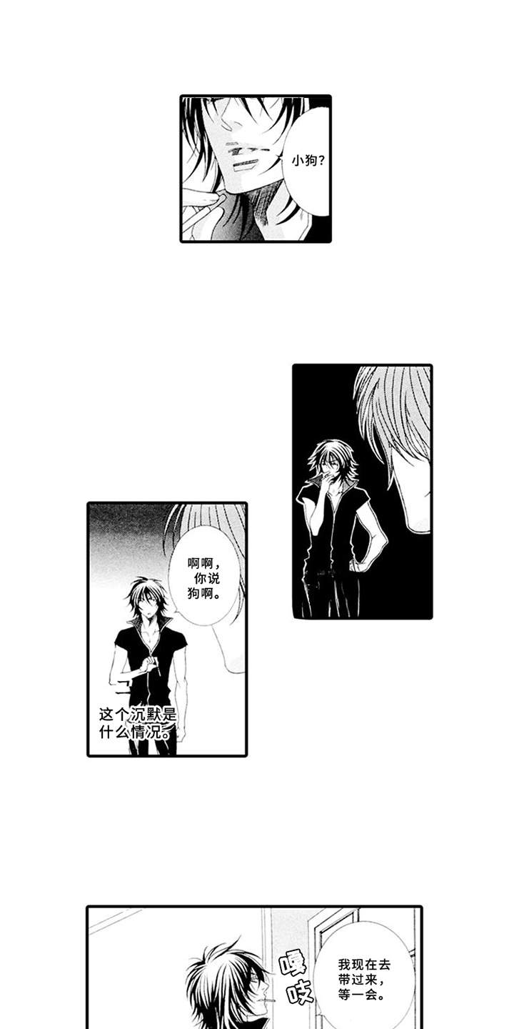 宠物保姆第1话图