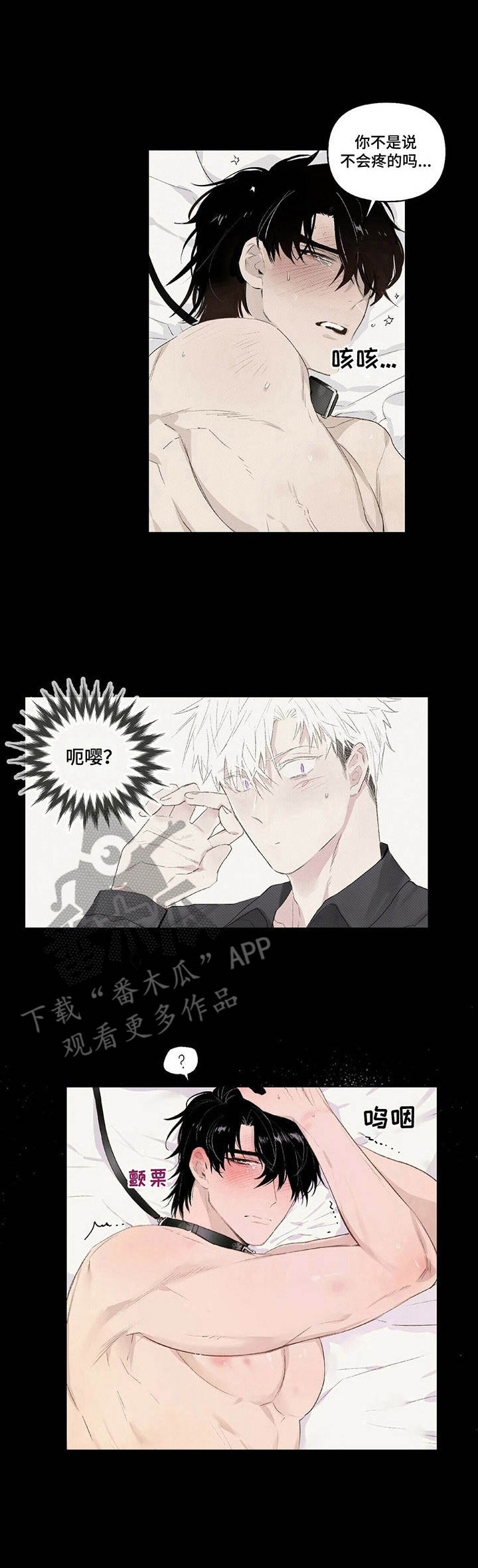 宠物项圈第12话图