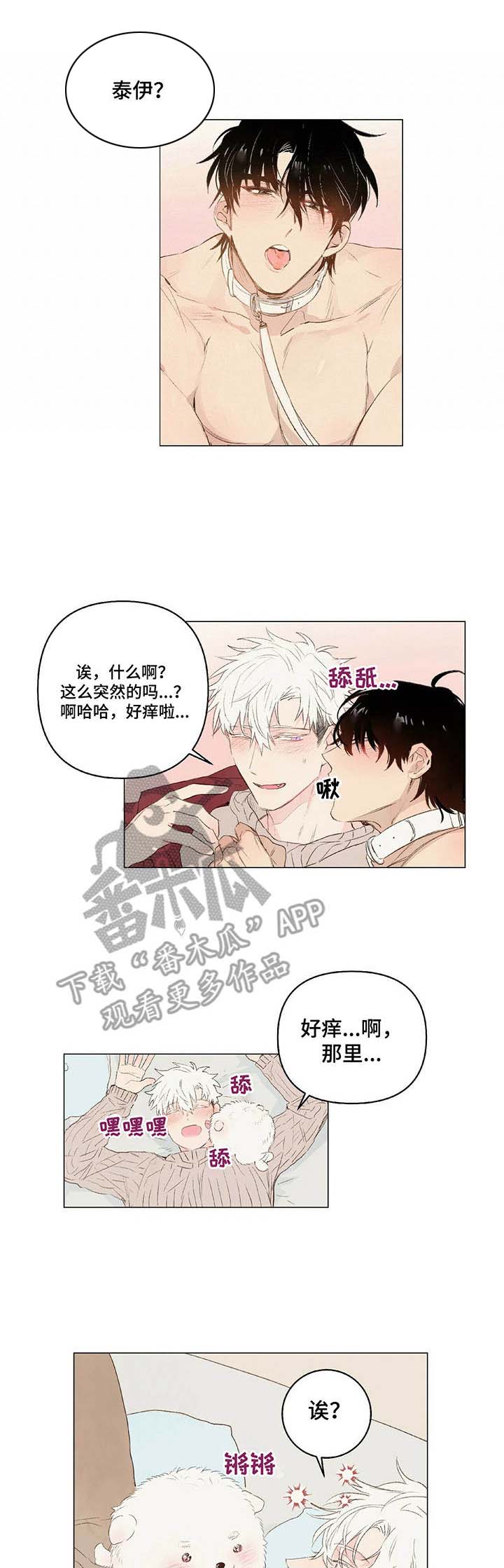 宠物项圈第19话图