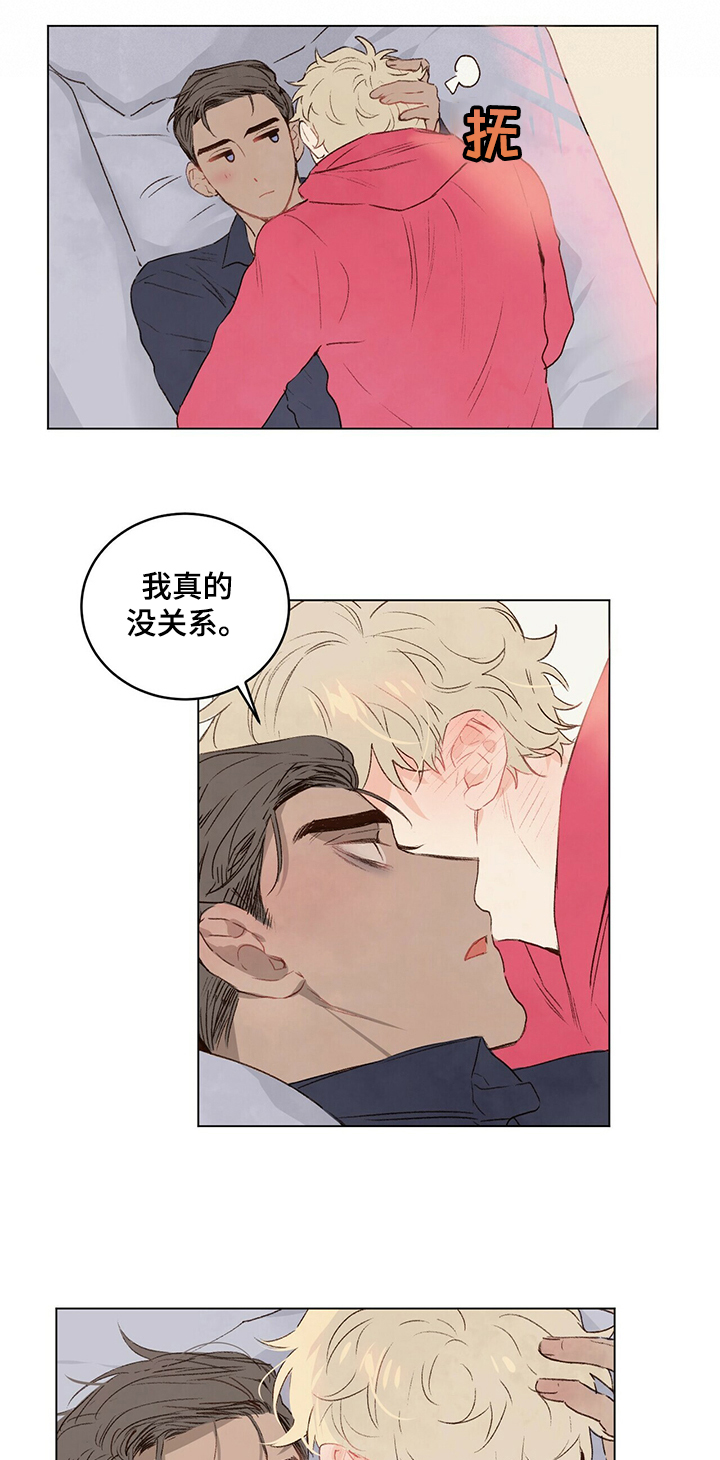 宠物项圈第33话图