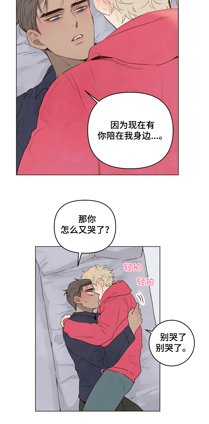 宠物项圈第33话图