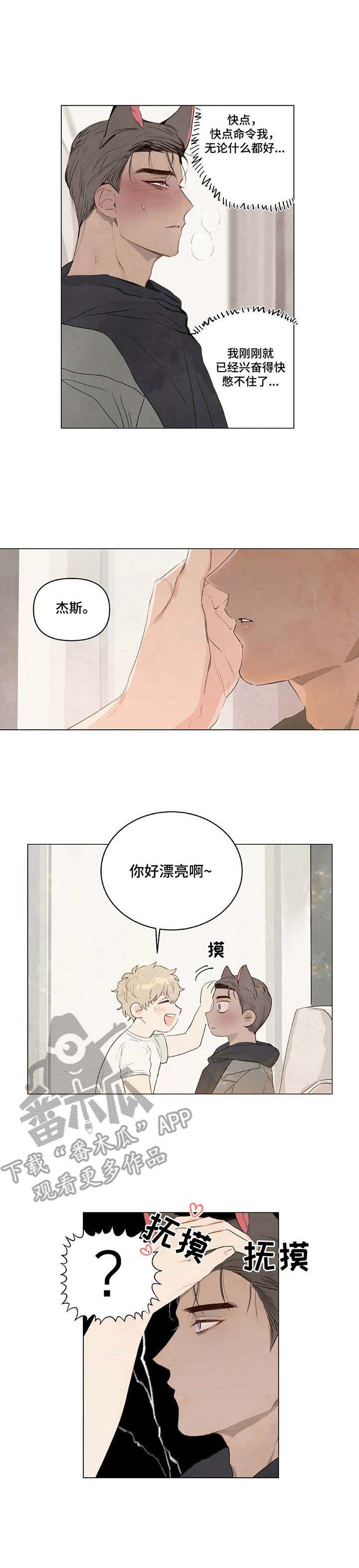 宠物项圈第7话图