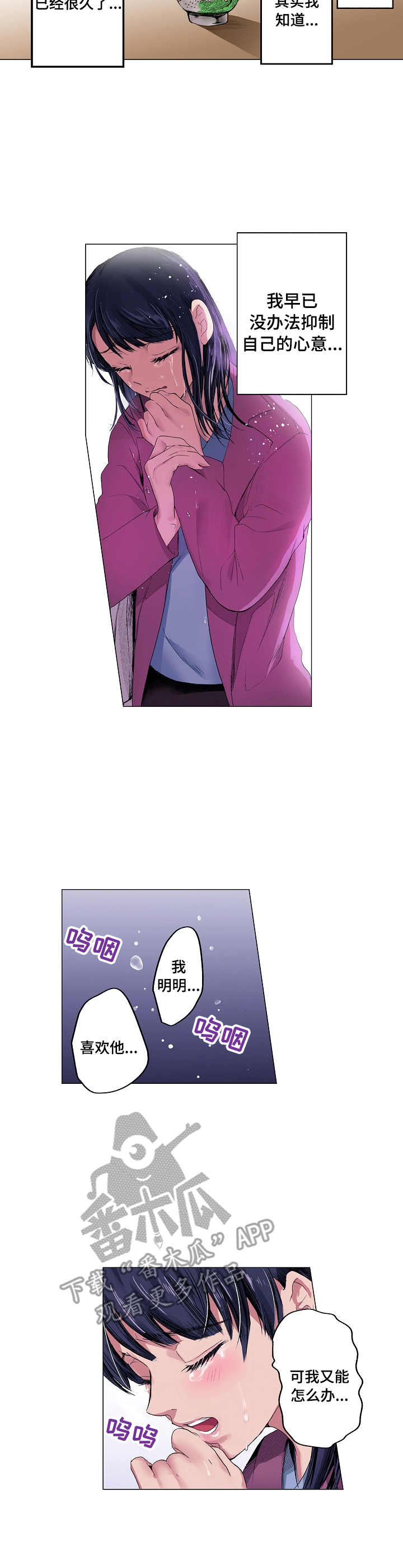 茶道之恋第15话图